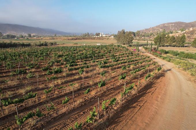 Casa Luna Vinedo 장크트 고아르스하우젠 외부 사진