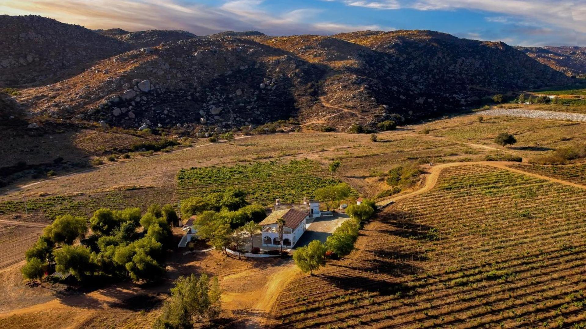 Casa Luna Vinedo 장크트 고아르스하우젠 외부 사진